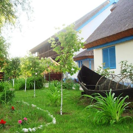 Casa Dintre Salcii Hotel Uzlina Kültér fotó