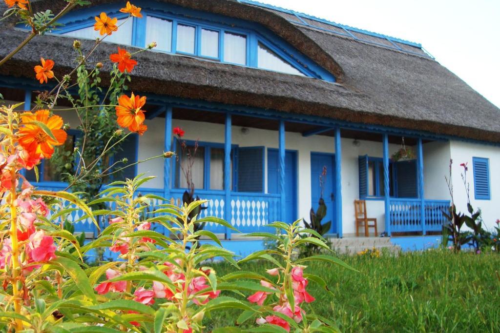 Casa Dintre Salcii Hotel Uzlina Kültér fotó