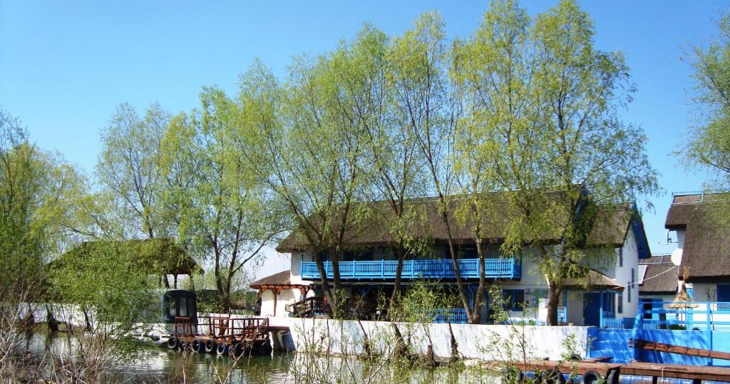 Casa Dintre Salcii Hotel Uzlina Kültér fotó